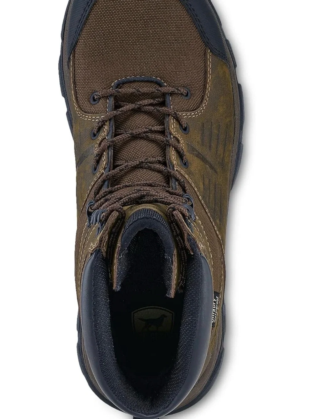 Irish Setter Terrain 10